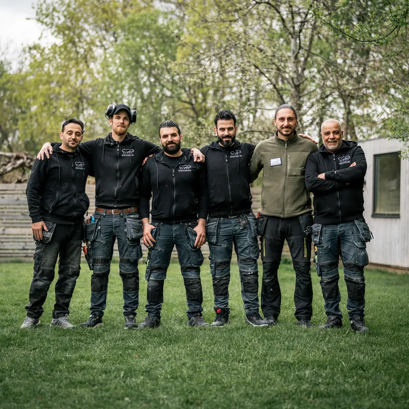 Team MG Alpha - fönstermontörerna