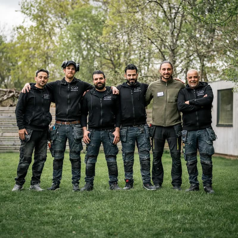 Team MG Alpha - fönstermontörerna